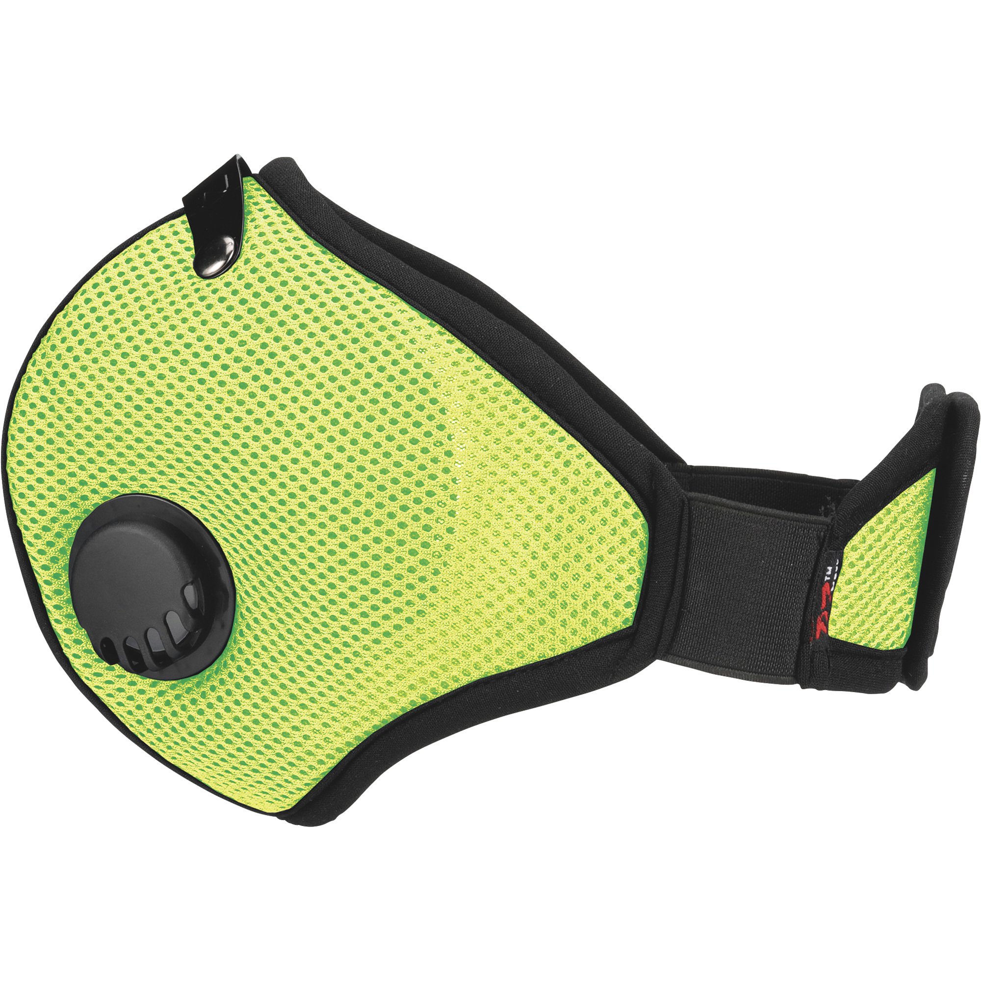 RZ Face Mask M2 Mask